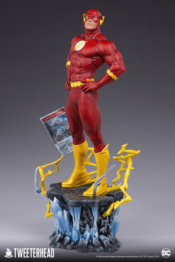 Flash 6