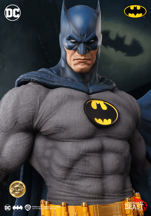 Batman: EDICIÓN PREMIER VARIANTE AZUL/GRIS 5