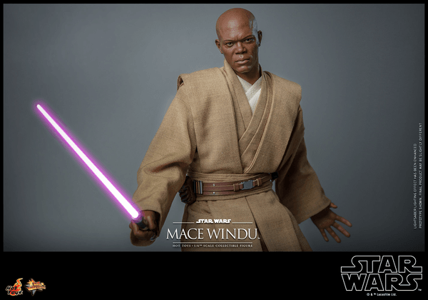 Mace Windu-82fe4cd8-e87b-4464-be73-269b29fa58ef 13