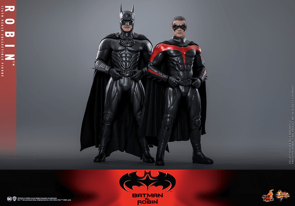 Robin 13