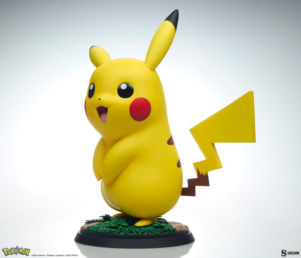 Pikachu-52607915-26a8-4b41-bc15-a764644dd93e 9