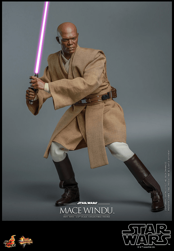 Mace Windu-82fe4cd8-e87b-4464-be73-269b29fa58ef 3