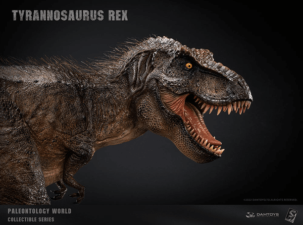 Tyrannosaurus Rex Statue 7