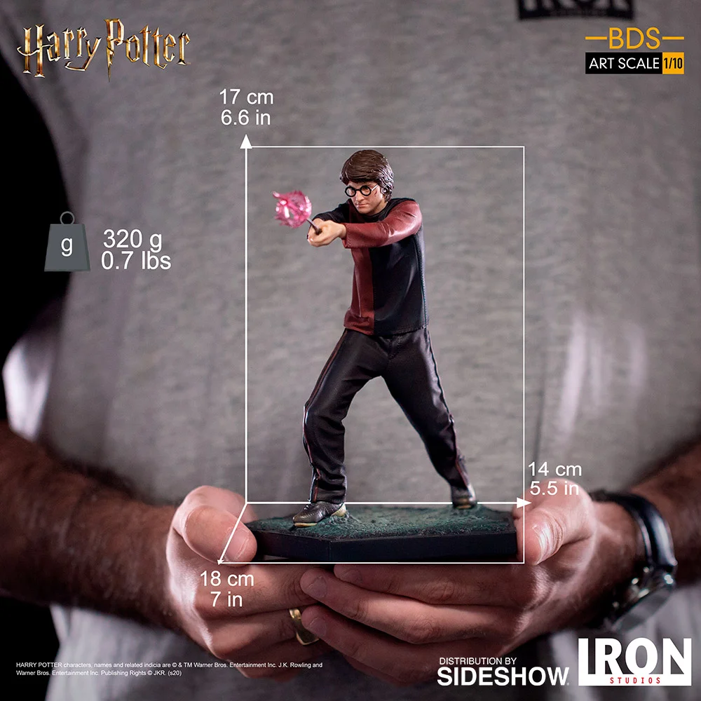  Harry Potter 1