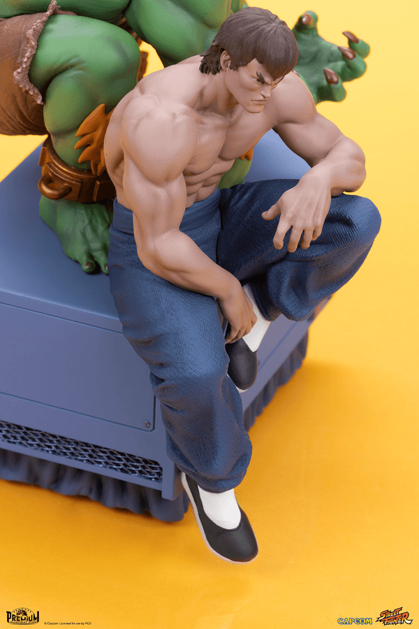 Blanka & Fei Long 3