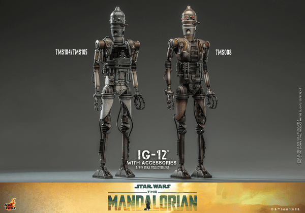 IG-12 With Accessories 12