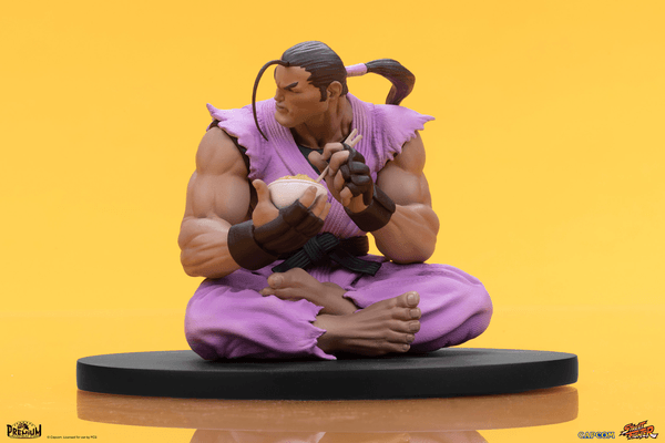 Ryu & Dan 14