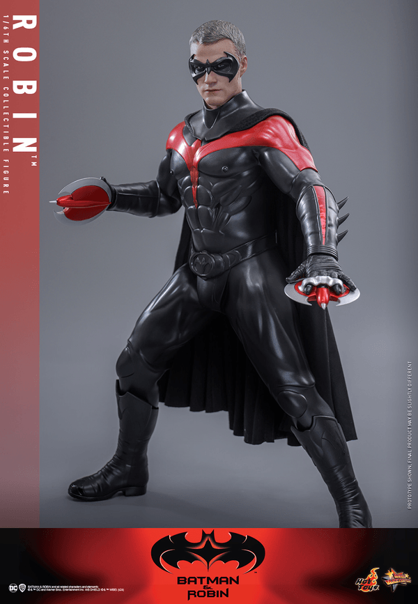 Robin 6