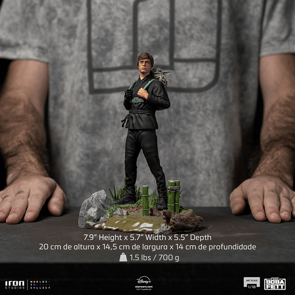Luke Skywalker and Grogu Training  7