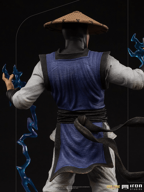 Raiden 8