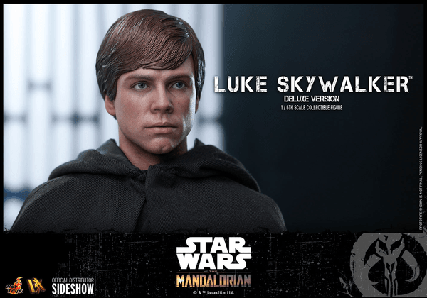 Luke Skywalker (Deluxe Version) 5