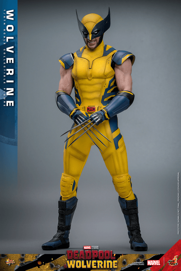 Wolverine-fe4d8bd6-33fd-41ed-a584-a4bba8e16985 12