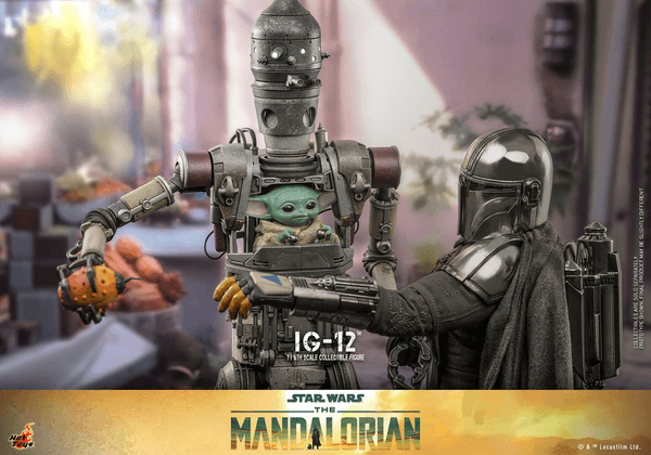 IG-12 3