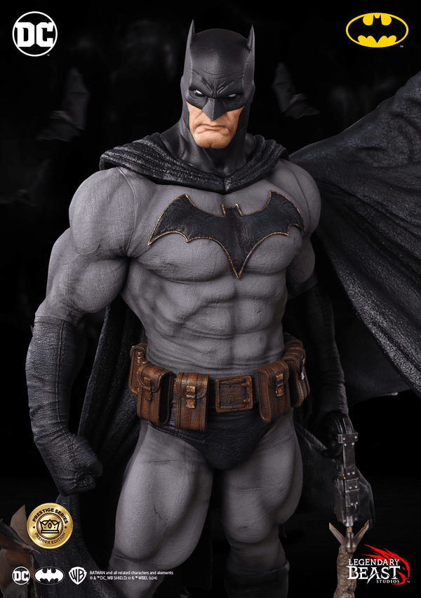 Batman -f8f771c9-0c9d-4566-ab5f-983168b15a7b 9