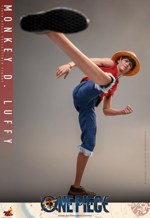 Monkey D. Luffy 2