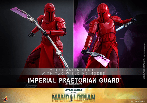 Imperial Praetorian Guard™ 8