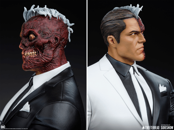 Two-Face-05d3605d-ffd0-429d-841b-e732605f2395 9