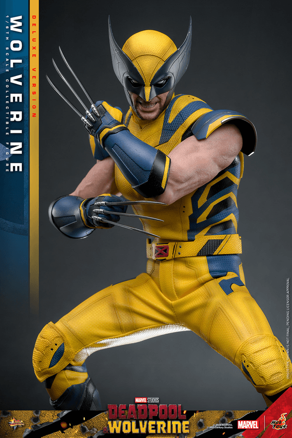 Wolverine - Deluxe 21
