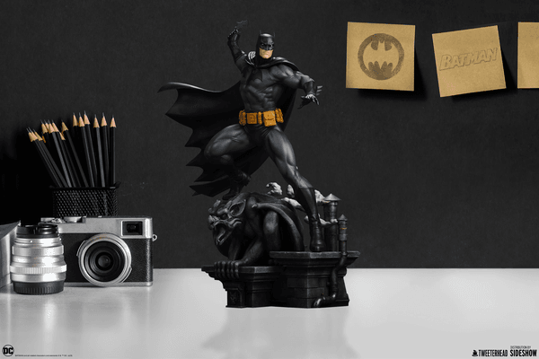 Batman™ (Black and Gray Edition) 13