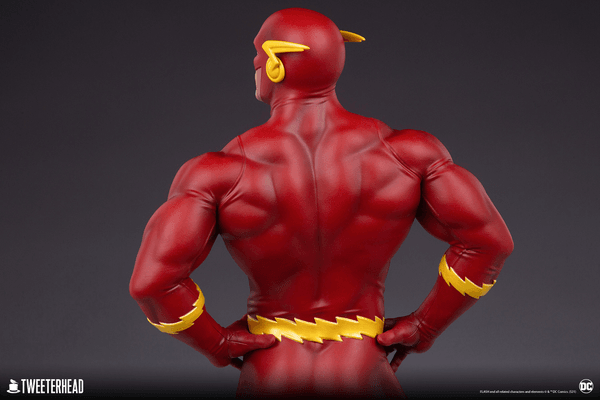 Flash 3
