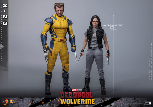 X-23-9af56485-ef27-44cd-9ee1-579a4c0f6f9c 11