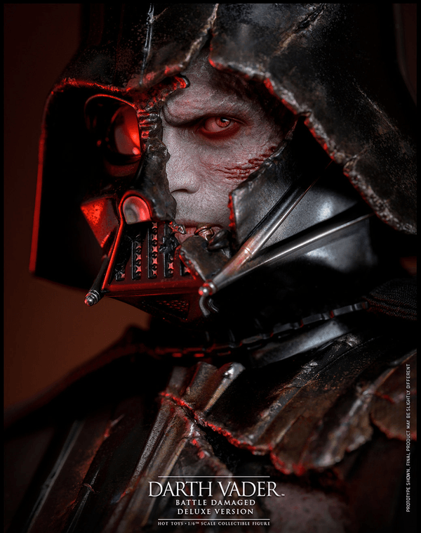 Darth Vader™ (Battle Damaged) (Deluxe Version) 14