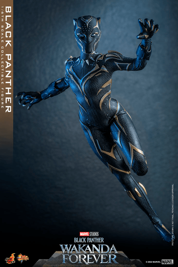 Black Panther -44689760-86da-4034-9b99-43436683472b 6