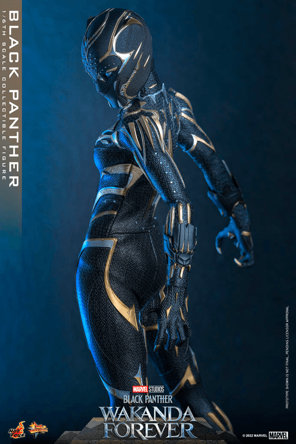 Black Panther -44689760-86da-4034-9b99-43436683472b 16