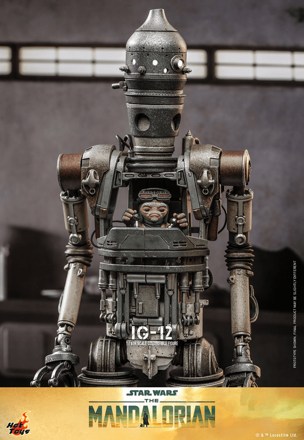 IG-12 13