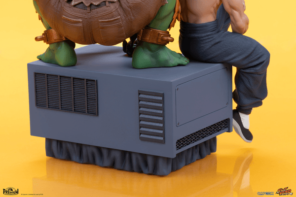 Blanka & Fei Long 9