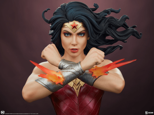 Wonder Woman Saving the Day 13