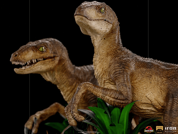 Solo Los Dos Raptor Deluxe 5