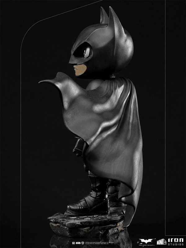 Batman (El Caballero Oscuro) MiniCo 9