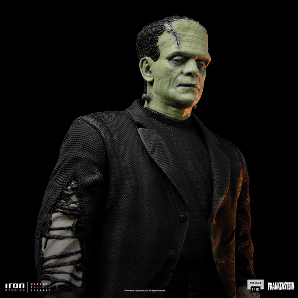 Frankenstein Monster  8