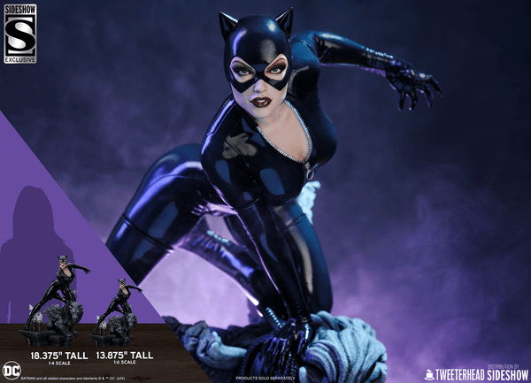 Catwoman-7af5a021-933c-43bf-bce9-1129f7b6703d 7