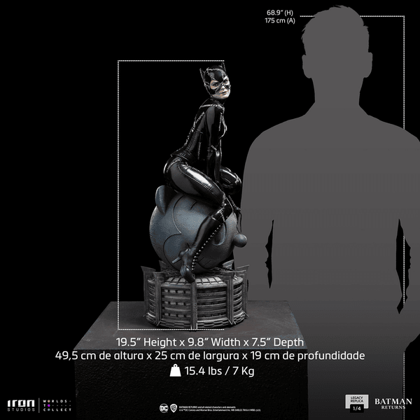 Catwoman-0edd5777-f55a-419c-886d-0f6d5bb885bc 13