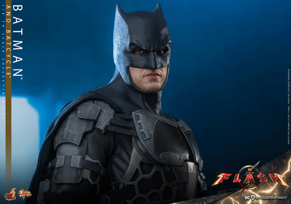 Batman and Batcycle 19
