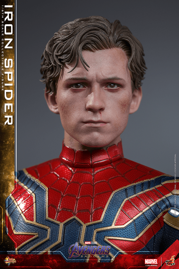 Iron Spidy 9