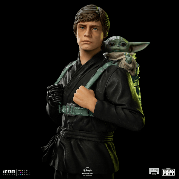 Luke Skywalker and Grogu Training  10