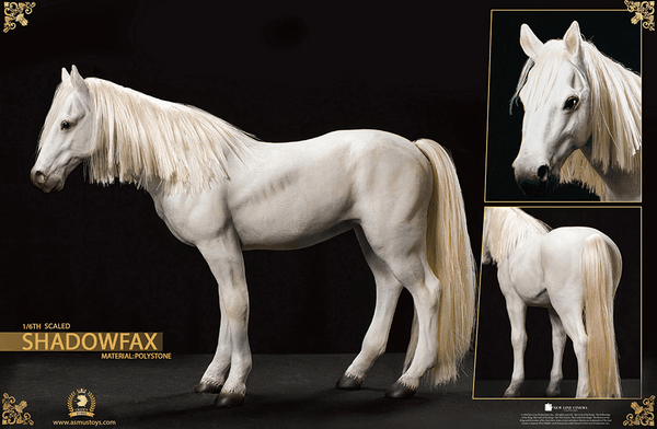 Gandalf the White  8