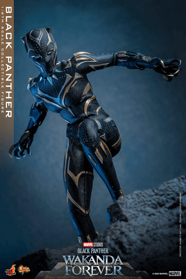Black Panther -44689760-86da-4034-9b99-43436683472b 7