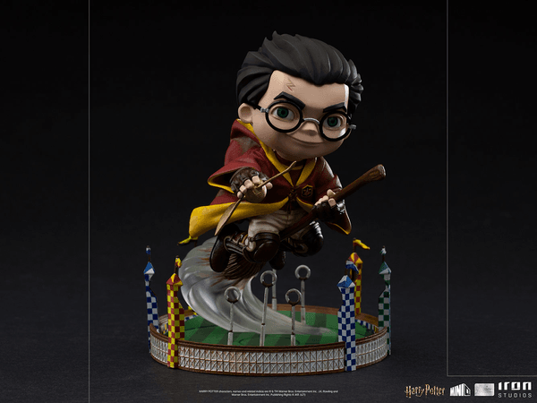 Harry Potter en el partido de Quidditch MiniCo 10