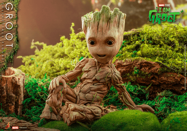 Groot-6e4892a1-8d49-489e-956b-c2b6ad8d64f0 11
