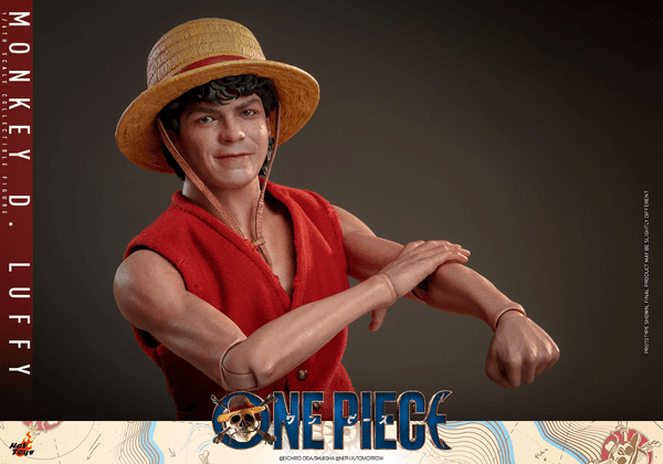 Monkey D. Luffy 10