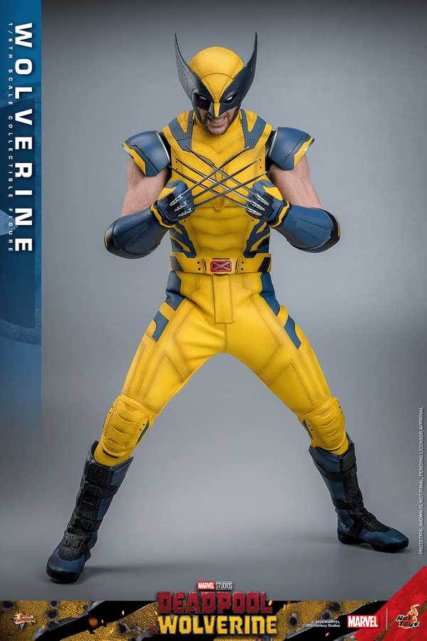 Wolverine-fe4d8bd6-33fd-41ed-a584-a4bba8e16985 9
