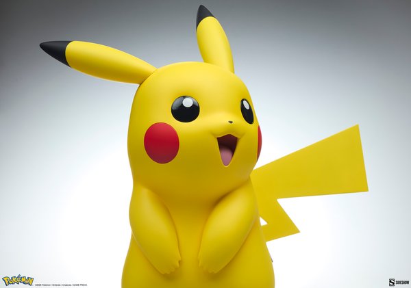 Pikachu-52607915-26a8-4b41-bc15-a764644dd93e 14