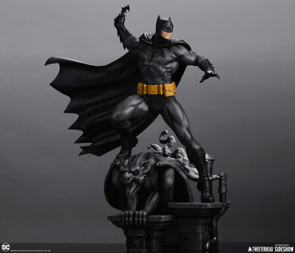 Batman™ (Black and Gray Edition) 5