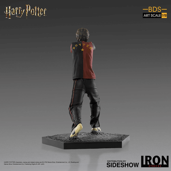 Harry Potter 6