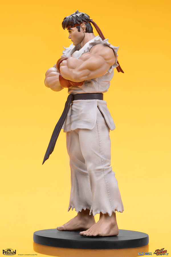 Ryu & Dan 11