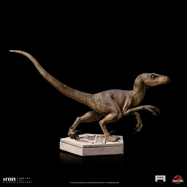 Velociraptor B 5